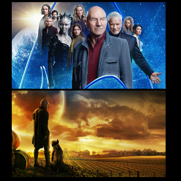 Cette image est divisée en deux parties. En haut, l'affiche promotionnelle de la série Star Trek: Picard montrant Jean-Luc Picard entouré de personnages principaux sur fond de planète et d’espace étoilé, incluant des figures emblématiques comme la Reine Borg. En bas, Picard vu de dos dans un champ au coucher du soleil, accompagné d’un chien, regardant une planète suspendue dans le ciel, symbolisant à la fois l’aventure spatiale et le retour aux racines terrestres.